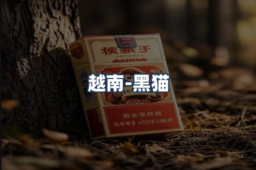 越南黑猫